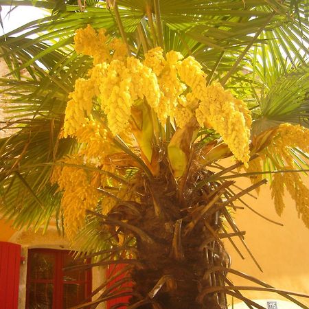 Hotel L'Oronge Saint-Jean-du-Gard Ngoại thất bức ảnh