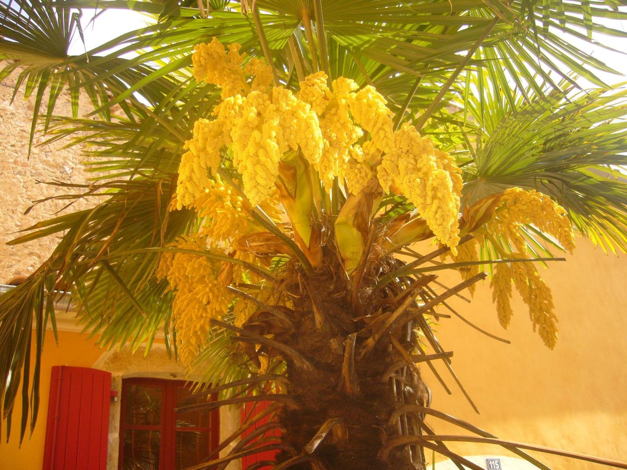 Hotel L'Oronge Saint-Jean-du-Gard Ngoại thất bức ảnh